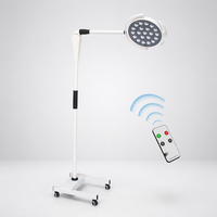 Lampe d'examen vétérinaire LED portable sans ombre pour clinique vétérinaire