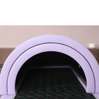 Capsule SPA portable de soins de santé et de beauté à infrarouge lointain, dôme de sauna FIR à vendre