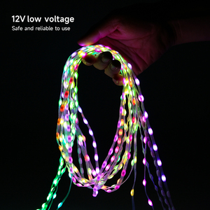 12V 4pin ws2815 hạt giống <span class=keywords><strong>pixel</strong></span> Pebble <span class=keywords><strong>pixel</strong></span> ánh sáng sao lưu dữ liệu dây Cá Nhân địa chỉ <span class=keywords><strong>RGB</strong></span> ma thuật Giấc Mơ Màu giáng sinh chuỗi - Product Image 3