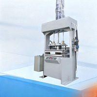 Machine de thermoformage à chaud pour la production de gobelets à café, plateaux en papier, boîtes à œufs, ligne de production automatique, moule à bas prix, Exw Wongs