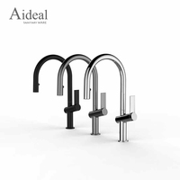 Keran Dapur Aideal Sanitary Dua Fungsi dengan Kepala Semprot Tarik Turun, Warna Abu-abu Gunmetal, Kuningan Solid, Tuas Tunggal