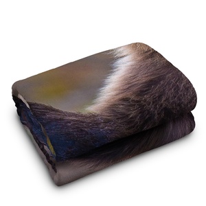 Tùy Chỉnh 100% Ảnh Polyester Lông Cừu Ném Chăn Dropshipping Ấm Cúng Manta Cho Mùa Đông - Product Image 5