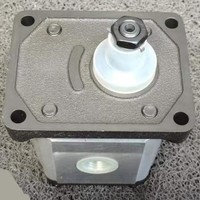 Pompe à engrenages hydraulique PGE103-4600-RBS1-N PGE103-5000-RBS1-N PGE103-5500-RBS1-N pour mécanisme auxiliaire de treuil principal de grue sur chenilles