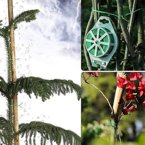 HY Jardinería y horticultura Flores y árboles Agrupación de alambre 20/30 metros 50 metros 100 metros Herramientas de hardware hortícola - Product Image 6