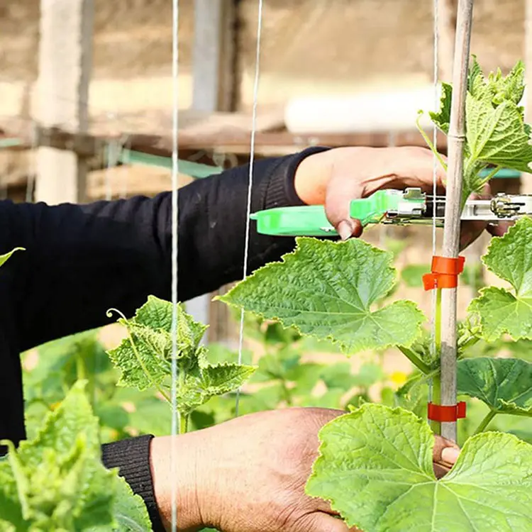 Mesin pengikat tanaman taman yang baik alat pita Tapener pengikat cabang untuk tanaman anggur Tomatoes beri tomat dan sayuran