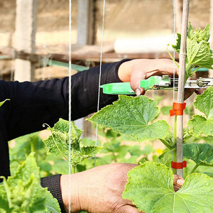 Buena máquina para atar plantas <span class=keywords><strong>de</strong></span> jardín, herramienta <span class=keywords><strong>de</strong></span> cinta adhesiva giratoria para encuadernación <span class=keywords><strong>de</strong></span> ramas para plantas, vides, uvas, frambuesas, tomates y verduras - Product Image 6