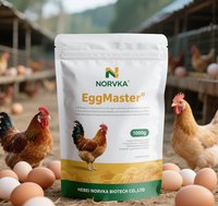 Complément Alimentaire pour Poules Pondeuses : Prémélange Vitaminé Stimulant la Croissance pour une Production d'Œufs Accrue