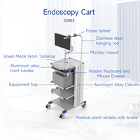 Sistem Kereta Bergerak Workstation Endoskopi Medis Harga Pabrik OEM/ODM untuk Gastroskop Kolonoskop