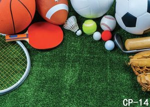 कस्टम खेल थीम फुटबॉल बास्केटबॉल ग्रीन घास फील्ड जन्मदिन पार्टी पोस्टर बैनर फोटो पृष्ठभूमि फोटोग्राफी पृष्ठभूमि - Product Image 2