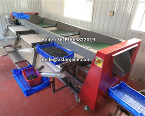 ماكينة تصنيف عنبية زرقاء 2 + 1 ، ماكينة تصنيف حزام عنبية زرقاء ، ماكينة تصنيف عنبية زرقاء - Product Image 3