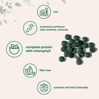 Comprimés de spiruline végétalienne OEM ODM GMP avec protéines végétales et chlorophylle, favorisant la santé antioxydante, l'équilibre intestinal et sanguin