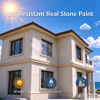 Revêtement mural en pierre véritable haute dureté, peinture acrylique texturée anti-salissure, pulvérisable, pour surface en béton extérieure