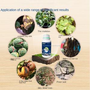 Polypeptide de supplément de protéine de <span class=keywords><strong>blanc</strong></span> <span class=keywords><strong>d</strong></span>'<span class=keywords><strong>oeuf</strong></span> de poisson de haute mer organique divers nutriments dans la protéine de poisson <span class=keywords><strong>d</strong></span>'état de poudre pour l'agriculture - Product Image 4