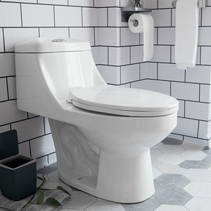 Inodoros económicos de una pieza Inodoros Tazón América <span class=keywords><strong>del</strong></span> <span class=keywords><strong>Sur</strong></span> Siphonic S Trap 300mm Juegos de inodoros para Baño - Product Image 1