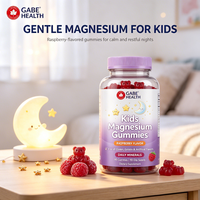 Suplemen Magnesium Gummy Rasa Raspberry untuk Anak Grosir, Magnesium Lembut untuk Tidur Nyenyak dan Kenyamanan Otot, 90 Gummy untuk Anak OEM