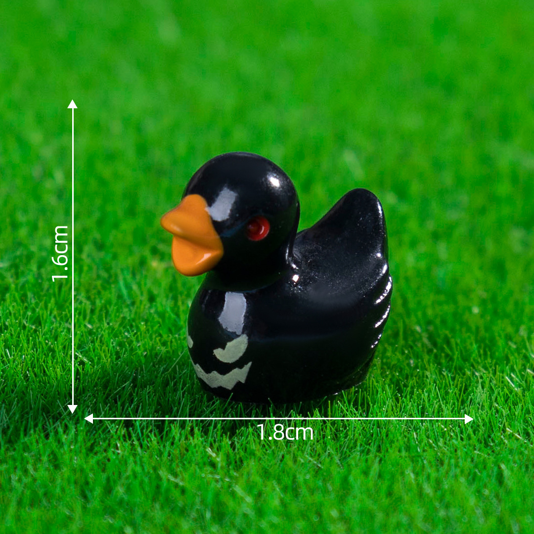 No. 6 Anatra dal volto fantasma