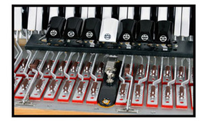 Accordéon à 30 touches et 24 basses en bois - Product Image 5