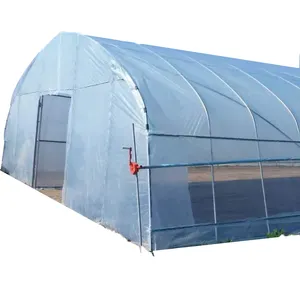 Hot Sale Winter Customized Film Super Large Planting Plastic Greenhouse Supplier Vegetable Fruits Flowers Large Green Houses