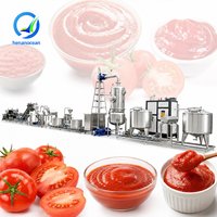 OCEAN Volledig Automatische Ketchup Productielijn Tomatenpuree Productiefabriek Grote Schaal Tomatensaus Verwerkingslijn
