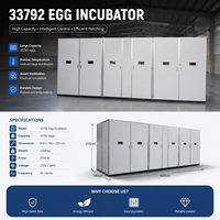 Incubateur d'œufs automatique BeYou de qualité commerciale 33792 - Système d'incubation avicole haut de gamme pour usage agricole