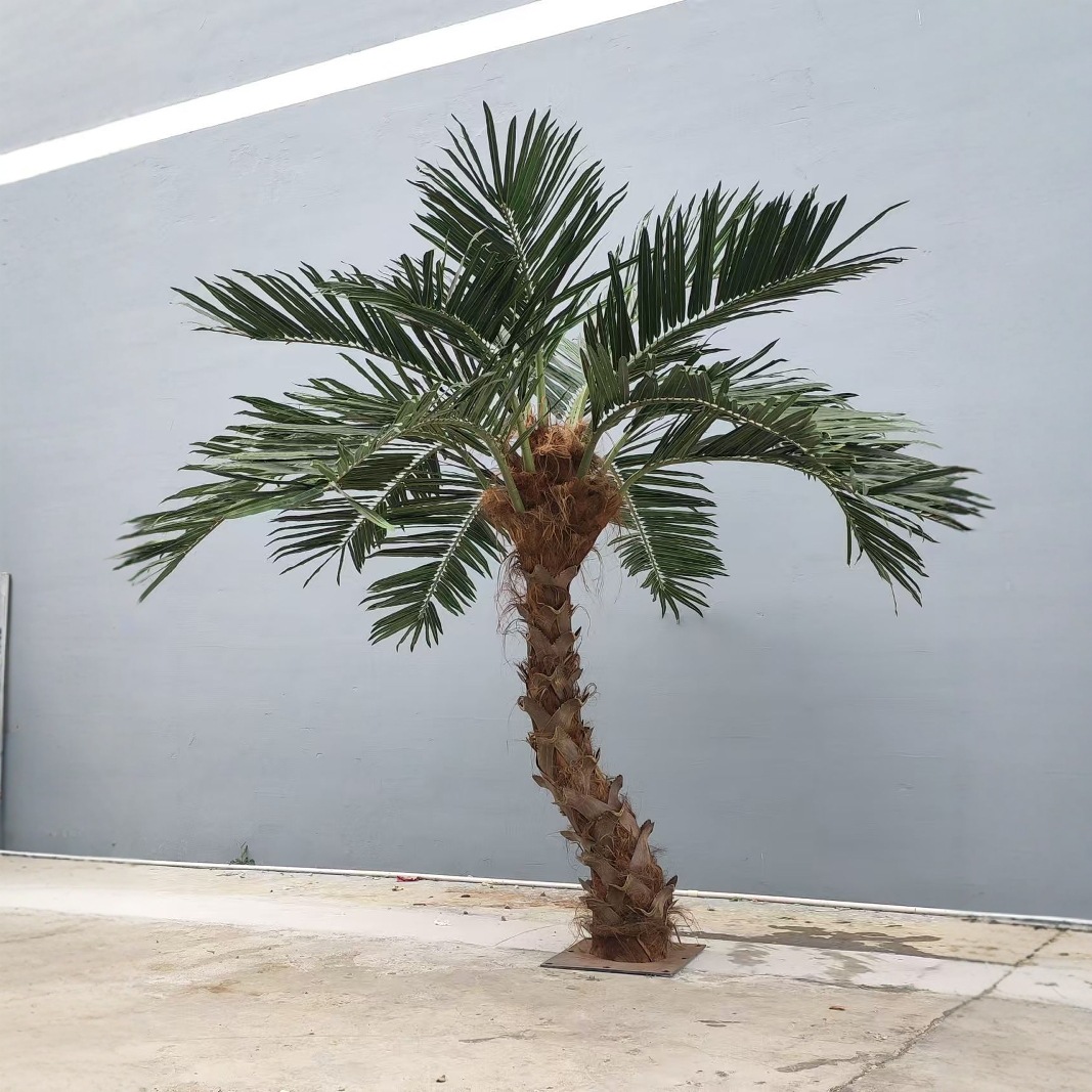 4m bent rod palm tree