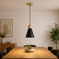 Luminaire d'intérieur moderne de style nordique, lampe moderne noire à brancher, luminaire suspendu LED pour salle à manger et cuisine