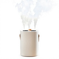 Humidificateur ultrasonique à 3 buses, diffuseur d'arômes de bureau de 2000 ml, alimenté par USB, humidificateur d'air silencieux pour la maison et le bureau