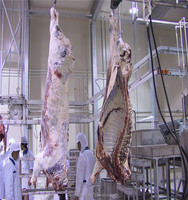 Prix compétitif, solutions clés en main, ligne d'abattage de vaches moderne, équipement d'abattoir, équipement complet d'abattage de bovins