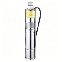 Pompe à eau solaire hors réseau LONGBIAO 3YYS DC 72V à haute pression, pompe à vis en fonte améliorée pour puits profonds, pour zones isolées, avec relance automatique