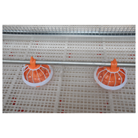 Mangeoire et abreuvoir pour poulets entièrement automatiques Nouveau système de ligne d'alimentation et d'abreuvement pour poulets de chair en PP pour l'élevage en poulailler