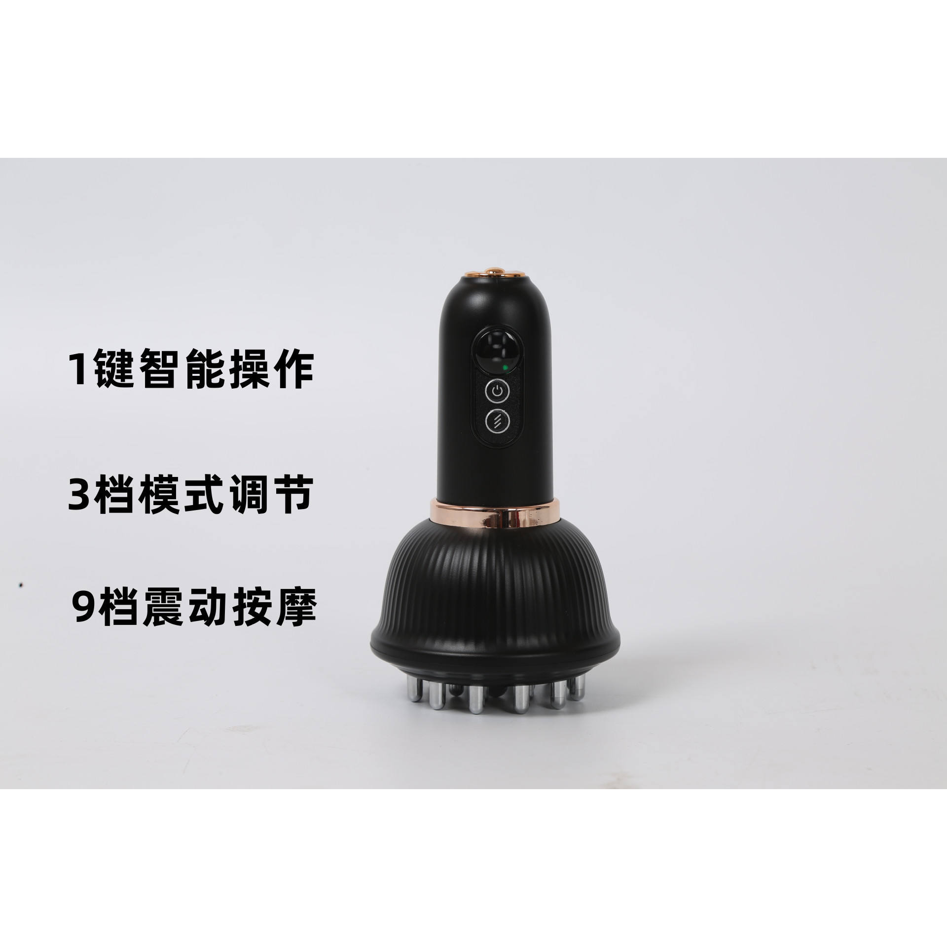 แปรงเมอริเดียน (สีดำ)