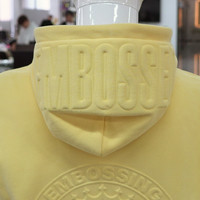 Sudadera con Capucha 3D para Hombre, Diseño en Relieve 3D, Holgada para Uso Diario, Tejido de Felpa Cómodo, Logotipo 3D Personalizado, Sudadera con Capucha Lisa al por Mayor