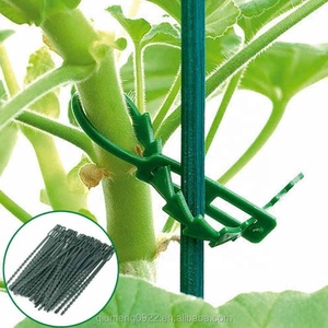 Clips pour tiges de plantes grimpantes, 50 pièces, 13 cm, attaches en plastique réglables, outils de jardinage pour le soutien des arbres grimpants dans le jardin - Product Image 3