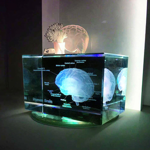 Modèle anatomique médical du cerveau humain en cristal K9 brillant, artisanat, <span class=keywords><strong>cube</strong></span> <span class=keywords><strong>photo</strong></span> en verre <span class=keywords><strong>3D</strong></span>, laser, <span class=keywords><strong>cube</strong></span> en cristal vierge, presse-papier - Product Image 4