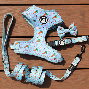 <span class=keywords><strong>Collar</strong></span> de lujo para perro, hebilla dorada acolchada de neopreno suave ajustable, cómodo - Product Image 6