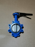 Vanne papillon manuelle OEM ODM DN100 en fonte, matériau EPDM, raccord demi-tube, modèle SS316