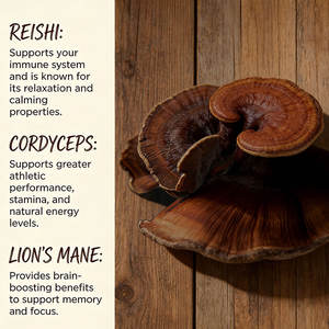 Yeni ürün takviyesi 100% organik en iyi toptan <span class=keywords><strong>Reishi</strong></span> mantarı Ganoderma Lucidum kapsül <span class=keywords><strong>Reishi</strong></span> kapsül - Product Image 3