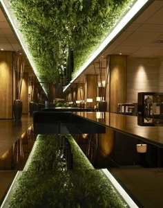 EG-G585 artificiale pianta in Rattan fiore appesa a parete foglie artificiali per la decorazione del soggiorno del soffitto - Product Image 1