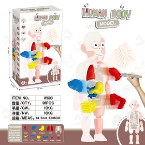 Jouets éducatifs précoces modèle d'orgue humain bricolage assemblage d'éveil hommes jouets apprentissage outil fournitures torse modèle <span class=keywords><strong>jouet</strong></span> - Product Image 6
