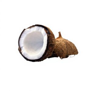 Poudre de noix de coco de qualité supérieure, type râpé, 35 % de matières grasses, goût sucré et gras, durée de conservation de 12 mois, pour la pâtisserie, la cuisine et les smoothies - Product Image 1