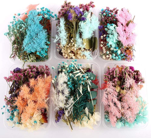 Kit de Matériaux de Fleurs Séchées DIY pour Fête de Remise des Diplômes - Cadres Photo, Bouteilles Flottantes, Maternelle, Salon - Product Image 2