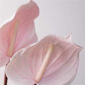 Fleurs artificielles d'Anthurium <span class=keywords><strong>de</strong></span> style européen, type Palm <span class=keywords><strong>Arum</strong></span> Floss Crane, pour la décoration intérieure, <span class=keywords><strong>de</strong></span> la cour et extérieure - Product Image 3