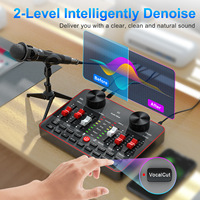 TENLAMP X3-Double E300 Version anglaise Carte son externe Équipement de chant en direct Ensemble complet Téléphone portable Ordinateur Animateur Karaoké