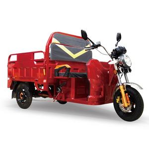 Vendita calda in Kenya EEC/COC Triciclo di carico elettrico a corpo aperto Tuk Tuk con tensione 60v - Product Image 5