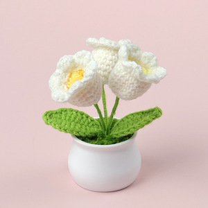 Pot en crochet fait main avec trois fleurs <span class=keywords><strong>de</strong></span> muguet miniatures en tricot pour petite amie, cadeau <span class=keywords><strong>de</strong></span> Saint-Valentin, cadeau <span class=keywords><strong>de</strong></span> remise <span class=keywords><strong>de</strong></span> diplôme - Product Image 6