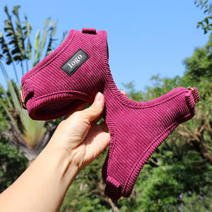 Accesorios para Cachorros, Arnés de Perro de Terciopelo de Pana Rojo Ajustable con Logotipo de PVC Personalizado con Correas y Collares para Mascotas - Product Image 2