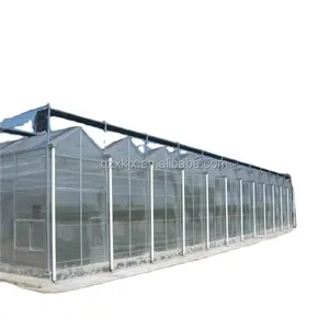 Fornitore commerciale delle serre di vetro della serra di vetro