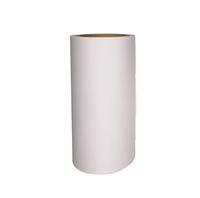 20g à 120g Feuilles de papier à libération vierge en verre de taille A4 A3 à prix compétitif enduit de silicone blanc