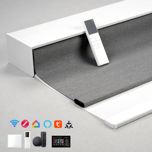 Motorized Remote Blinds Curtain Automatic Persianas Day Night Roller Blind <strong>Shades</strong> - Product Image 1
