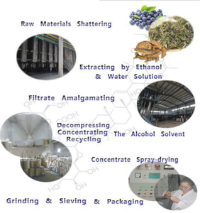 Hoogwaardige <span class=keywords><strong>100%</strong></span> Natuurlijke <span class=keywords><strong>Houttuynia</strong></span> Cordata <span class=keywords><strong>Extract</strong></span> Bulk <span class=keywords><strong>Houttuynia</strong></span> Cordata <span class=keywords><strong>Extract</strong></span> Poeder - Product Image 5